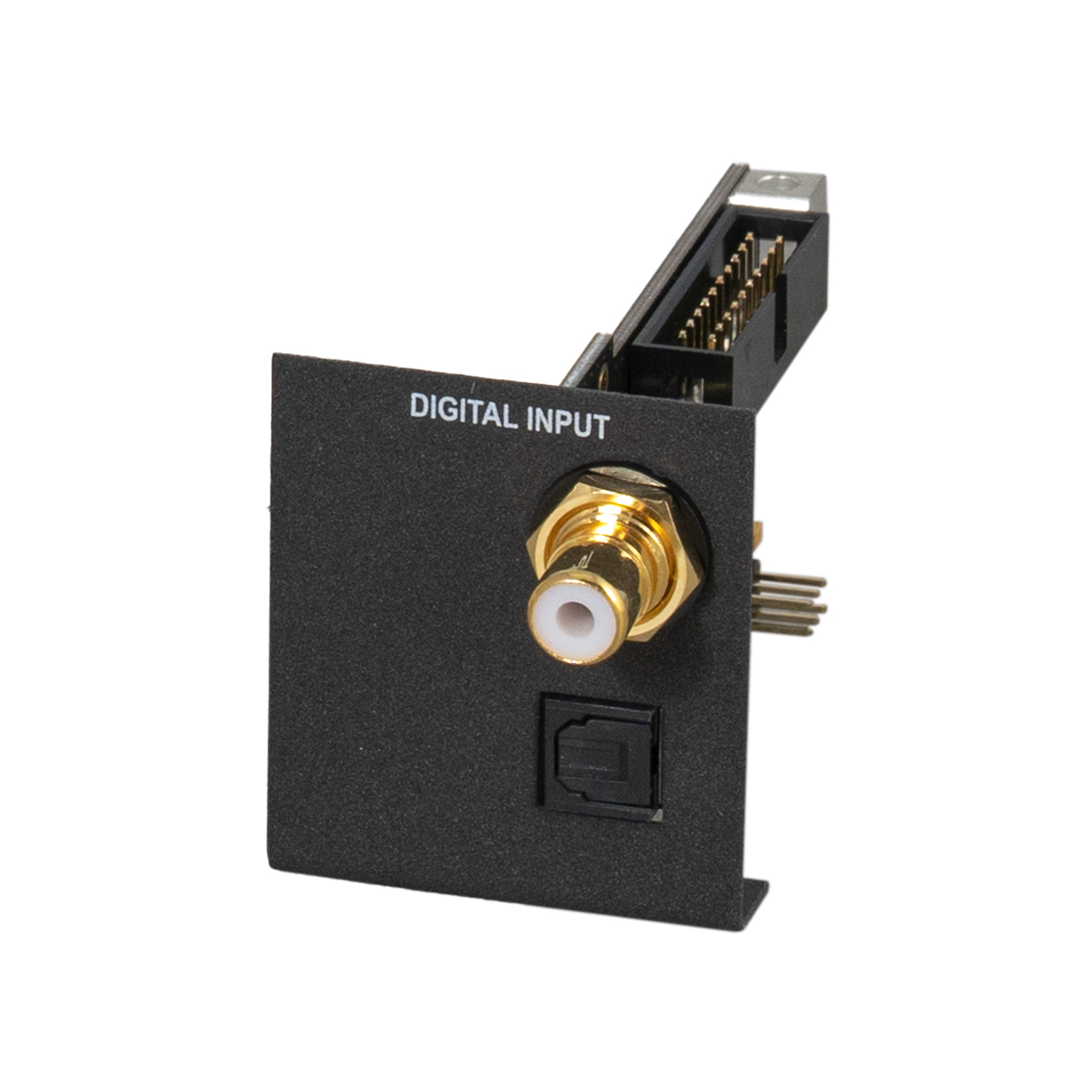 BRAX DSP – Input SPDIF BRAX DSP – Input SPDIF